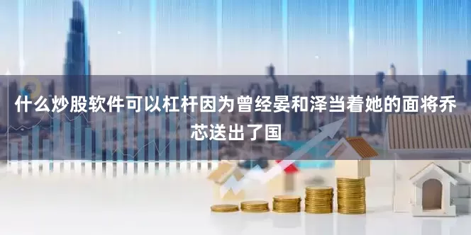 什么炒股软件可以杠杆因为曾经晏和泽当着她的面将乔芯送出了国
