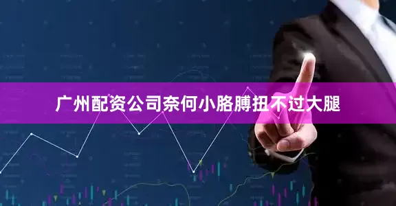 广州配资公司奈何小胳膊扭不过大腿