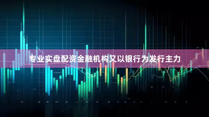 专业实盘配资金融机构又以银行为发行主力
