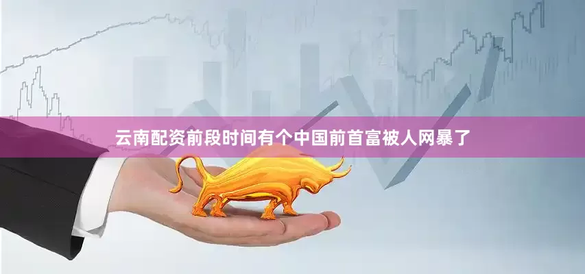 云南配资前段时间有个中国前首富被人网暴了